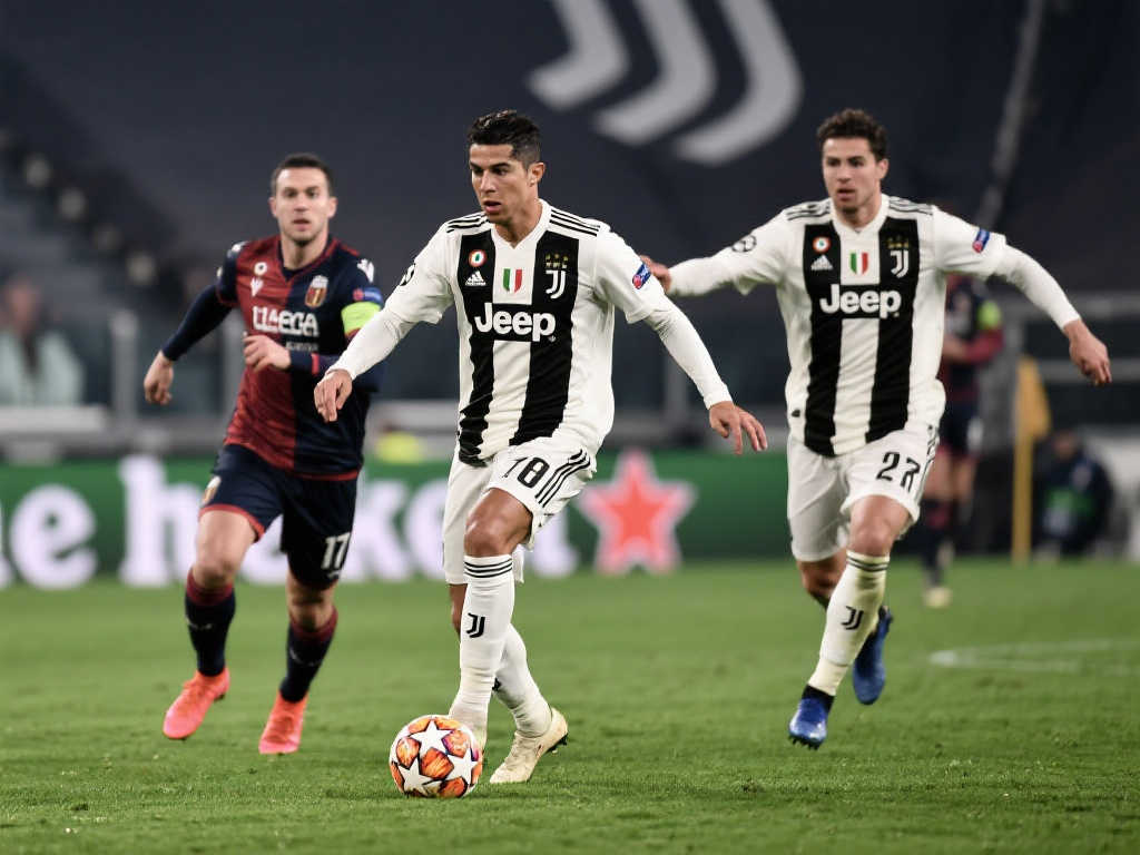 世界杯平台介绍